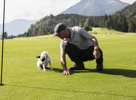 Luxusurlaub mit Hund Symbolfoto